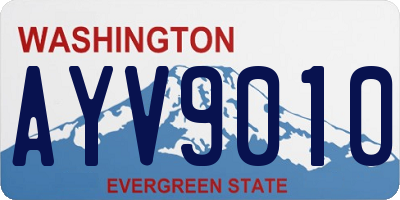 WA license plate AYV9010