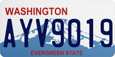 WA license plate AYV9019