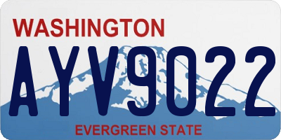 WA license plate AYV9022