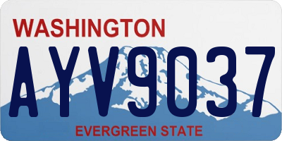 WA license plate AYV9037