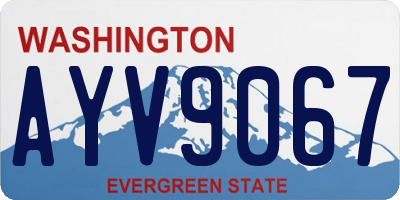 WA license plate AYV9067