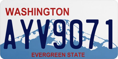 WA license plate AYV9071