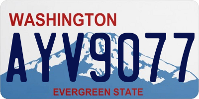 WA license plate AYV9077