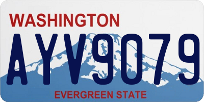 WA license plate AYV9079