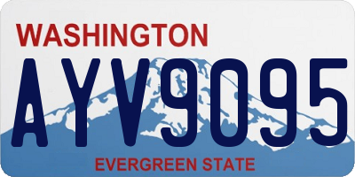 WA license plate AYV9095