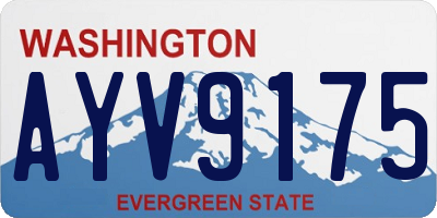 WA license plate AYV9175