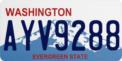 WA license plate AYV9288