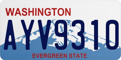 WA license plate AYV9310