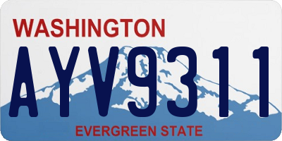 WA license plate AYV9311