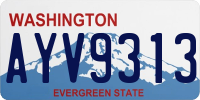 WA license plate AYV9313