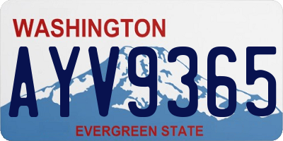 WA license plate AYV9365