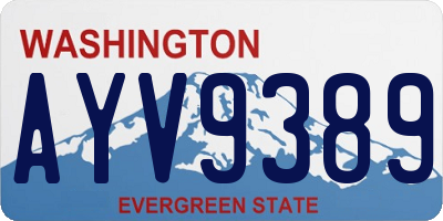 WA license plate AYV9389