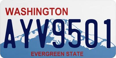 WA license plate AYV9501