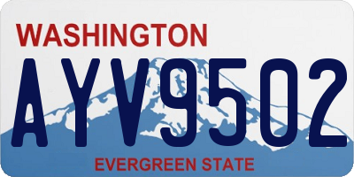 WA license plate AYV9502