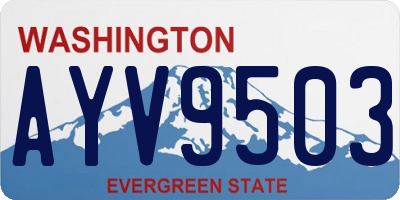WA license plate AYV9503