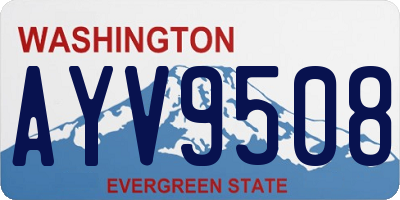 WA license plate AYV9508