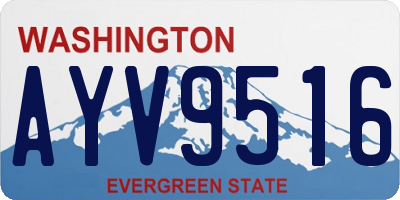 WA license plate AYV9516