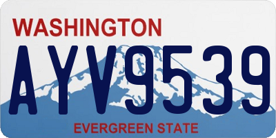 WA license plate AYV9539