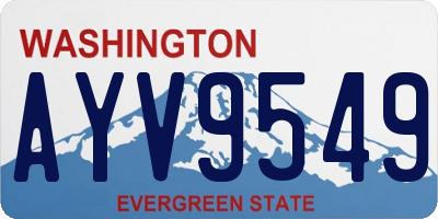 WA license plate AYV9549