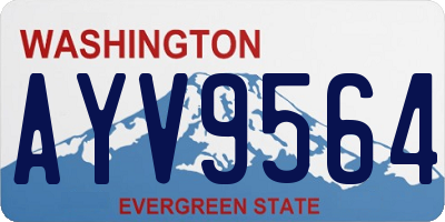 WA license plate AYV9564