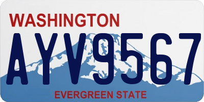 WA license plate AYV9567