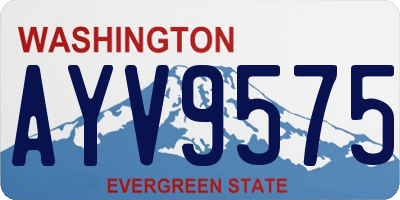 WA license plate AYV9575