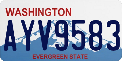 WA license plate AYV9583