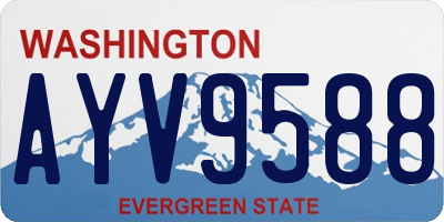 WA license plate AYV9588