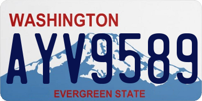 WA license plate AYV9589