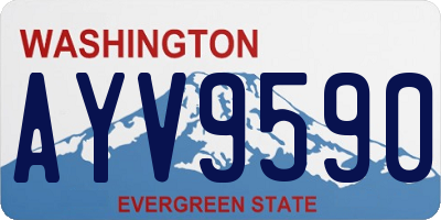 WA license plate AYV9590