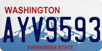 WA license plate AYV9593