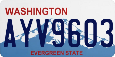 WA license plate AYV9603