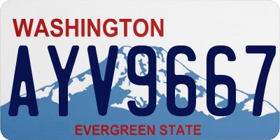 WA license plate AYV9667