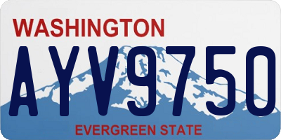 WA license plate AYV9750