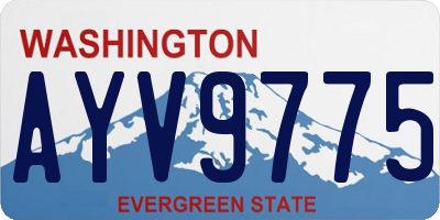 WA license plate AYV9775
