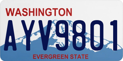 WA license plate AYV9801