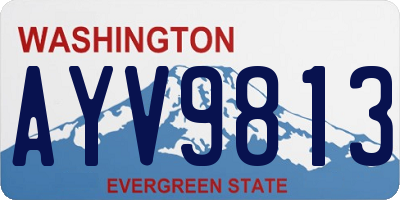 WA license plate AYV9813