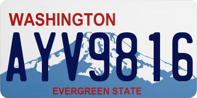 WA license plate AYV9816