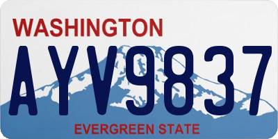 WA license plate AYV9837