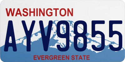 WA license plate AYV9855