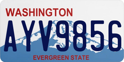 WA license plate AYV9856