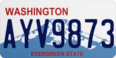 WA license plate AYV9873