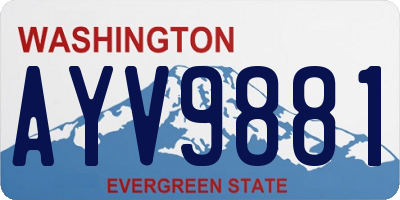 WA license plate AYV9881