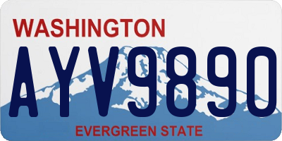 WA license plate AYV9890