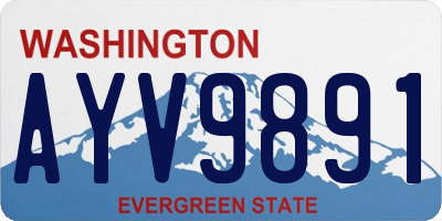 WA license plate AYV9891