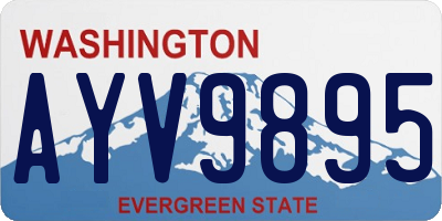 WA license plate AYV9895