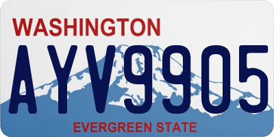 WA license plate AYV9905