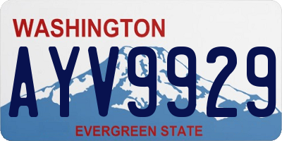 WA license plate AYV9929