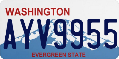 WA license plate AYV9955