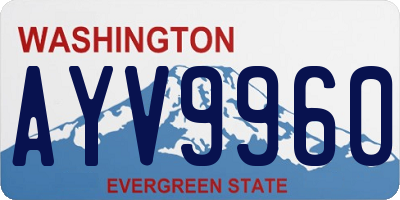 WA license plate AYV9960